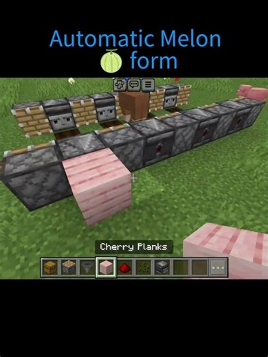 automatic melon 🍈 farm