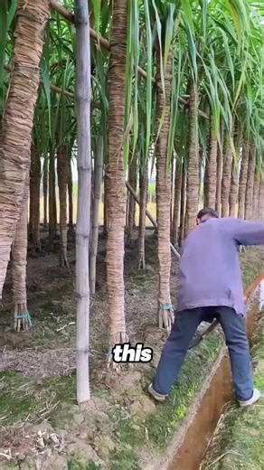 INVENTOR UG (@inventor.ug2)’s videos with original sound - INVENTOR UG