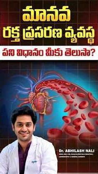 How Blood Circulation Works Inside the Human Body | Dr Abhilash Nali #ytshorts #yt #bloodcirculation