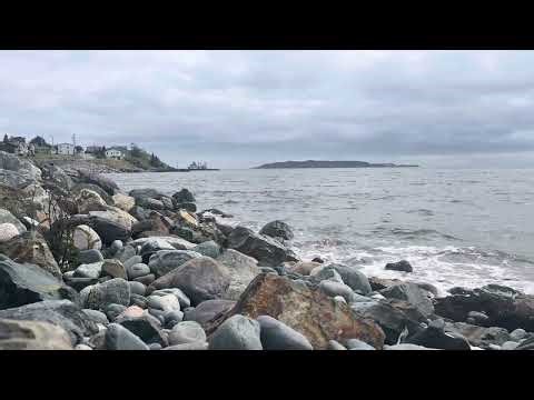 Waves at Witless Bay, NL while we did some rock picking to paint for gifts.