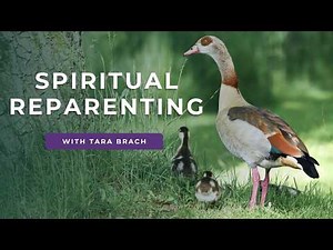 Spiritual Reparenting | Tara Brach