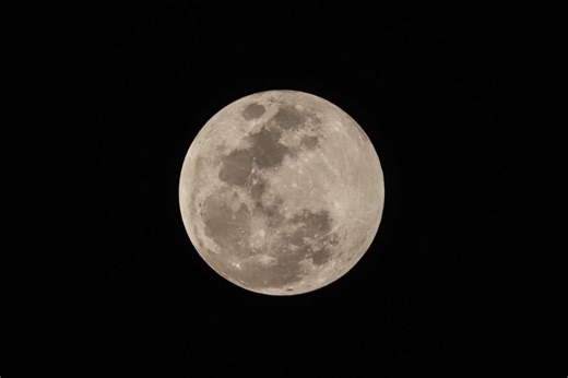 EN VIVO. Eclipse lunar total: un evento que no volverá a suceder hasta 2048