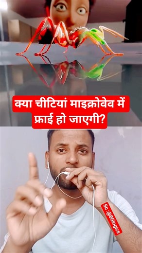 why ants don't die in microwave #facts #ants