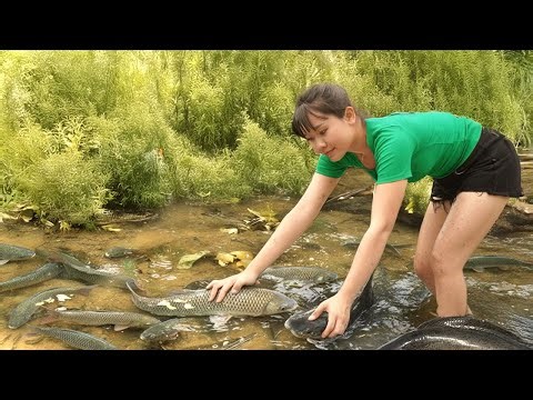 Woman Uses Traditional Fishing Skills | Catching Wild Fish in the Forest