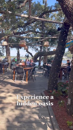 7.6K views · 302 reactions | Experience Tybee Island’s best-kept...