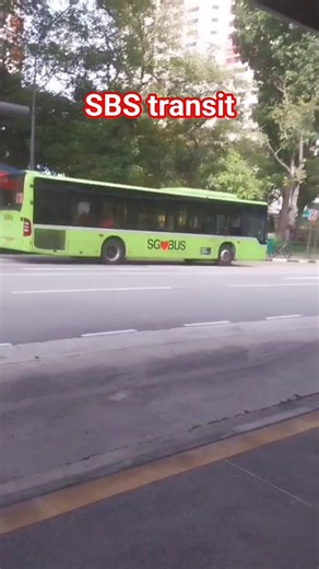 SINGAPORE BUS | SBS TRANSIT #trending #shortvideo #ytshorts