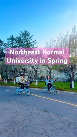 Northeast Normal University in Spring🌸💕 #northeastnormaluniversity #changchun