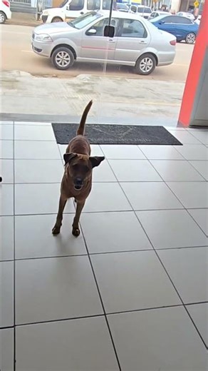 When you trust, things work out.