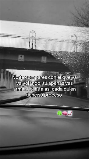 #frasesparaestados🍀😮‍💨 #frasesmotivadoras🍀🧿📈✍🏻🔥 #frasesdetodo🍀🙇🏻✌🏻
