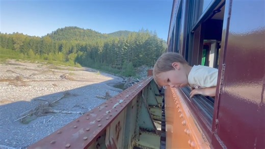 15K views · 493 reactions | Did you know? Kids 5 and under always ride free on our Steam Train Excursions! What do kiddos love more than trains, bridges, and quality time? At just an hour and fifteen minutes, our excursions are the perfect length for families and train lovers of all ages!  Take it from our Executive Director's son, Martin, the rides are good for more than one "WOW!" | Mt. Rainier Scenic Railroad | Facebook