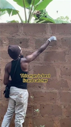 this man is the best lizard catcher 😝 #comedy #funny