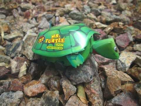 TNT Fireworks - Mr Turtle novelty firework