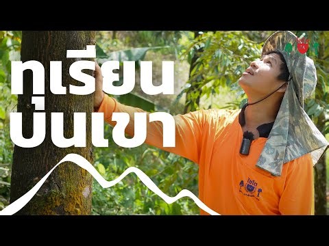 EP.18 | ผมเจอปุ๋ยถูกทางแล้ว จากนี้จะปลูกขยายอีกไปเรื่อยๆ