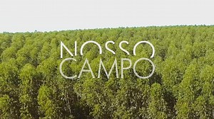 Nosso Campo deste domingo, 7 de fevereiro