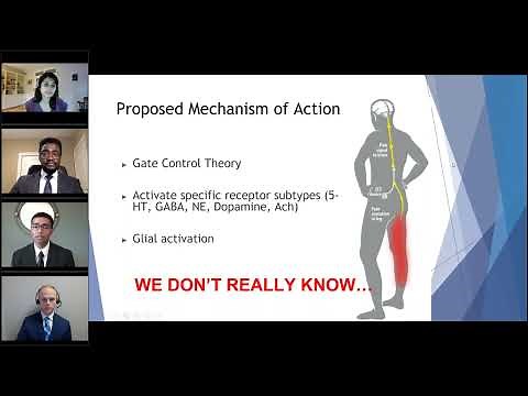 Basics of Spinal Cord Stimulation Understanding Mechanisms of Actions & Indications