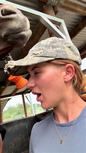 Watch My Sister Ride Remi: An Equestrian Adventure