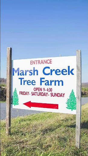 Chester County Christmas Tree Farms 2025