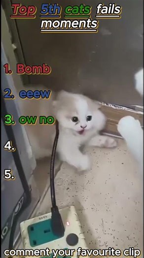 #trynottolaugh #viralvideos