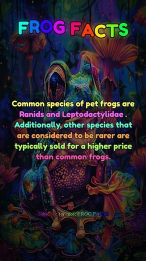 Common species of pet frogs are Ranids and... | Frog Facts