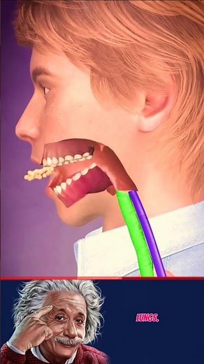 What REALLY Happens When Food Goes Down the “Wrong Pipe”? 😳 | Crazy Body Facts