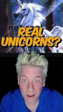 Unicorns in the Bible? Here’s the Truth...