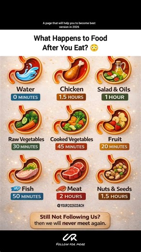 Day (32/365), Follow for more #selfimprovement #discipline #2026 #fyp #healthyfood