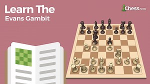 Learn The Evans Gambit