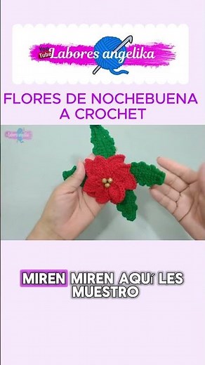 🚀 Crochet Poinsettia Flowers: An Easy and Beautiful Project for This Christmas 🎄🌟 #Fashion #Viral
