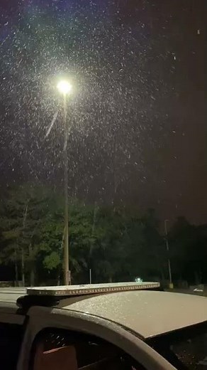 Video shows snow falling in Florida