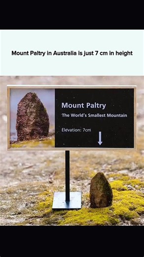 Curious6T9 on Instagram: "Meet Mount Paltry, the unofficial world’s smallest mountain. Standing at just 7 centimeters (2.7 inches) tall, this Australian 'peak' has become a global internet sensation. Some claim it’s a true mountain because it formed via natural geological processes like tectonic pressure—just on a micro scale. It's essentially a social media joke that highlights the ironic beauty of nature's smallest wonders. Official Rival: Australia’s official smallest mountain is Mount Wychep