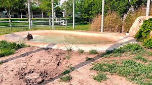 20K views · 1.1K reactions | Keeper Ben captured our 9-month old...