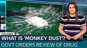 What is 'Monkey Dust' and why is its classification being reviewed? - Latest From ITV News