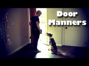 Door Manners for Dogs! - Dog Training