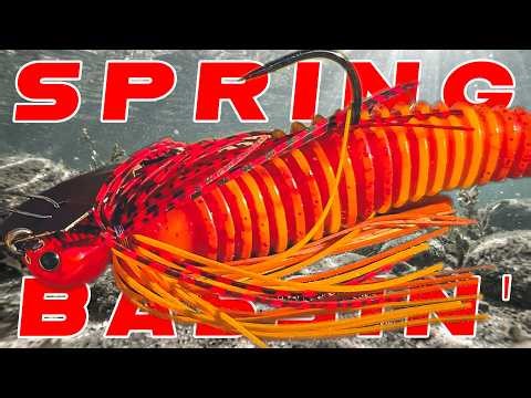Early Spring Bass Fishing! Chatterbait vs Underspin For Early Season Bass!