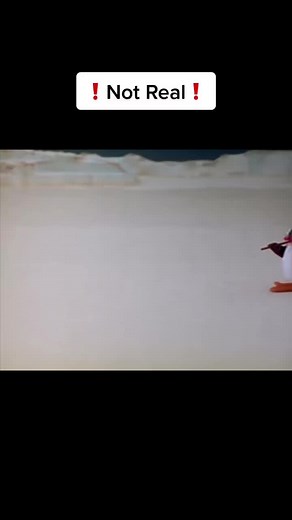 Season 1 episode 3 #pingu #nootnoot #happyfeet #penguins #oldshow #oldschool