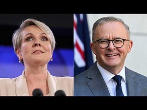 Tanya Plibersek provides cover for Albanese’s ‘indefensible’ comments
