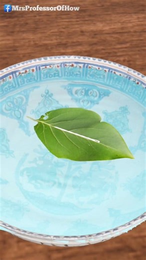 6.1K views · 27 reactions | Can we see direction from a needle? | Mrs Professor Of How | Facebook