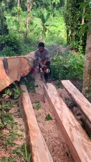 Mastering Chainsaw Skills for Woodwork and Lumberjack Activities