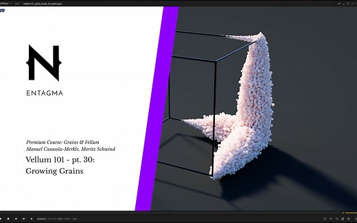 Houdini Entagma Vellum Grain_Growth