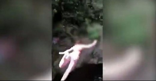 Tay'lor Smith Guilty Plea for Pushing Teen Off Bridge | Law & Crime