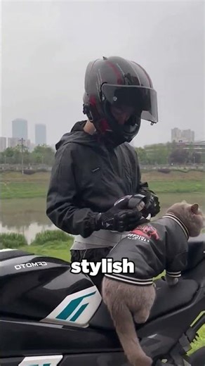 The coolest cat rider