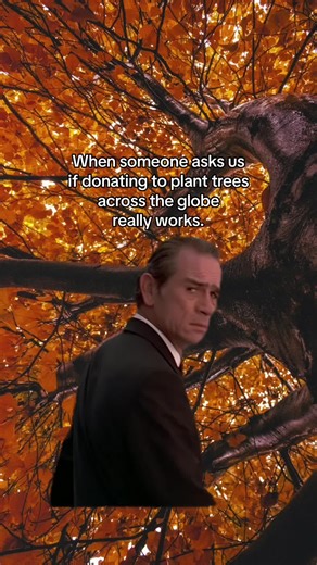 100% worth it, every time. 🌳 #TeamTrees #TreeWork