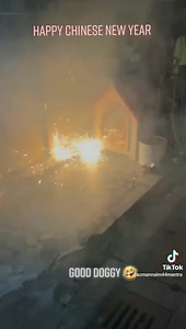 zaman skrang, Anjing pun main bunga api tau 🤣 Happy CNY ! Randompost Mohd Nur Azman Naim | Azman Naim 44 Mantra