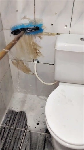 Asmr Cleaning Motivation Faxina Satisfatória no Banheiro 🫧 ✨️