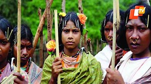 Genome India Project Ensures Inclusive Genetic Mapping Across Diverse Populations #genome #india #jitendrasingh #otvnews #latestnews #health #otvenglish | OTV News | Facebook