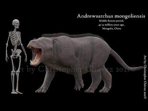 Andrewsarchus: A Misunderstood Beast
