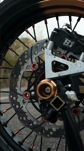 BETA RR 115 LMR