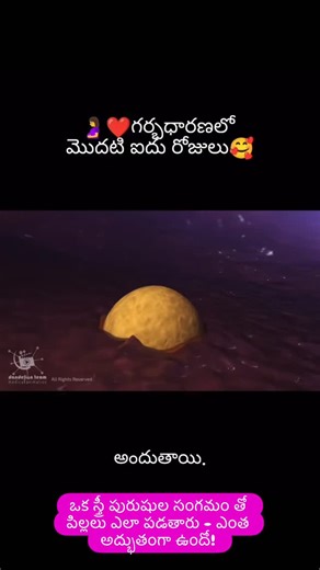 Dr Narmada Katakam on Instagram: "So beautifully explained by @learn_withtelugusongs_ ఇంత అద్భుతం జరిగి natural గా pregnancy వస్తే సంతోషం #naturalpregnancy #egg #sperm #fertilisation #noivf #genesisfertilityandivf"