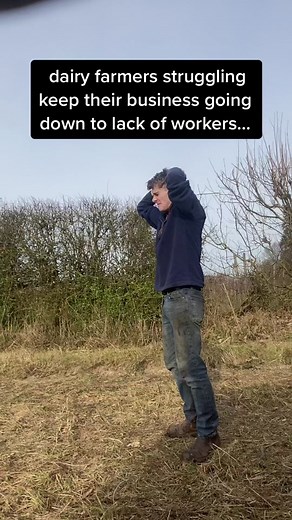 Dairy Farming Business in the UK