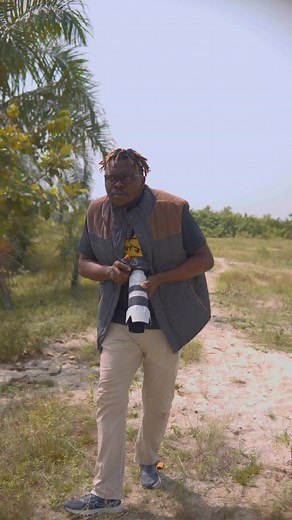 the photographer and the apes 😂🔥 #funny #viral #comedy